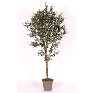 Olivenbaum künstlich MIANA, Naturstämme, mit Früchten, 100cm - Made in Italy