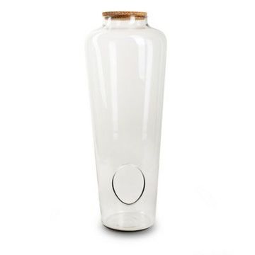Glas Pflanzen Terrarium TAVOI mit Korkdeckel, klar, 50cm, Ø19cm