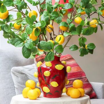 Just a yellow lemon tree