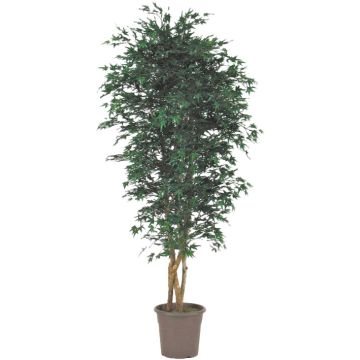 Kunst Japanischer Ahornbaum KESCHA, Naturstämme, grün, 125cm - Made in Italy Kunst Japanischer Ahornbaum KESCHA, Naturstämme, grün, 125cm - Made in Italy