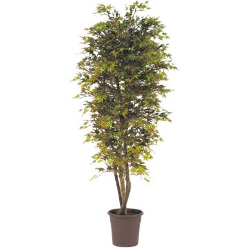 Kunst Japanischer Ahornbaum KESCHA, Naturstämme, grün-rot, 125cm - Made in Italy Kunst Japanischer Ahornbaum KESCHA, Naturstämme, grün-rot, 125cm - Made in Italy