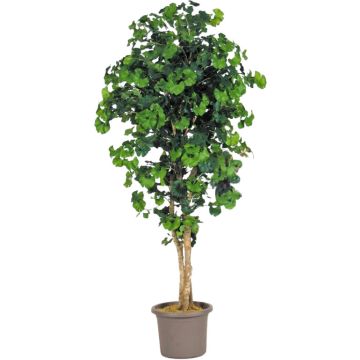 Künstlicher Ginkgo LUDOWIKA, Echtstämme, grün, 300cm - Made in Italy
