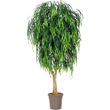 Kunst Trauerweide MORINO, Echtstämme, grün, crossdoor, 150cm - Made in Italy Kunst Trauerweide MORINO, Echtstämme, grün, crossdoor, 150cm - Made in Italy