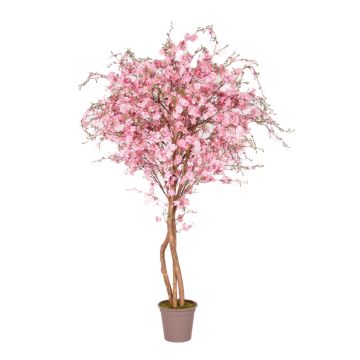 Unechter Pfirsichbaum MILTRAUD, Naturstämme, Blüten, rosa, 175cm - Made in Italy
