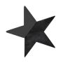 OASIS Black Ideal Nasssteckmasse Stern THARA, Bioline Holzunterlage, schwarz, 30x29x4,5cm