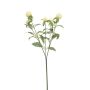Künstlicher Zweig Kugelamarant DREWON, creme, 65cm