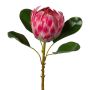 Kunstblume Königs-Protea KALEIN, rosa, 55cm