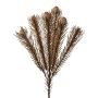 Deko Zweig Nadelkissen Protea KROLI, grau-braun, 50cm