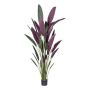 Kunstpflanze Heliconia SNALHE, grün-burgunderrot, 210cm