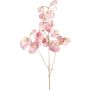 Deko Zweig Lathyrus latifolius SLIRKEN, hellrosa, 75cm