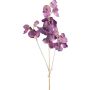 Deko Zweig Lathyrus latifolius SLIRKEN, dunkellila, 75cm