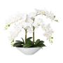 Textil Phalaenopsis Orchidee KENTOL, Keramikschale, Wurzeln, weiß, 55cm