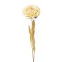 Dekoblume Pfingstrose MASNOR, Trockenoptik, creme, 65cm