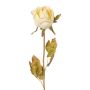 Dekoblume Rose WORNA, Trockenoptik, creme, 55cm