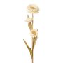 Dekoblume Kap-Strohblume BERLENA, creme, 60cm