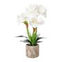 Kunstblumen Gesteck Amaryllis OWELRA mit Gras, Zementtopf, weiß, 55cm
