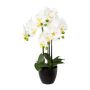 Kunst Phalaenopsis Orchidee UKERNA im Resin-Übertopf, weiß, 55cm