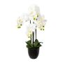 Kunst Phalaenopsis Orchidee UKERNA im Resin-Übertopf, weiß, 70cm