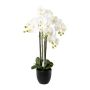 Kunst Phalaenopsis Orchidee UKERNA im Resin-Übertopf, weiß, 85cm