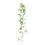 Dekohänger Tradescantia zebrina FROLHE, Steckstab, grün-weiß, 100cm