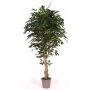 Kunst Ficus Benjamini YANEXY, Naturstämme, grün, 200cm - Made in Italy