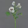 Dekozweig Stiefmütterchen SIANIE, weiß-burgunderrot, 35cm, Ø5-6,5cm