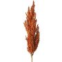 Dekozweig Sorghumhirse WADDY mit Ähren, orange, 80cm