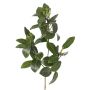 Künstlicher Mangroven Zweig USTERA, Knospen, schwerbrennbar, grün, 60cm