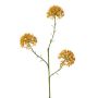 Dekozweig Allium ALIKIO, orange, 65cm, Ø7cm
