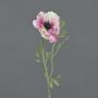 Künstliche Anemone OKAPI, rosa-weiß, 55cm, Ø10cm