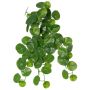 Stephania erecta Kunstpflanze ANOGIA auf Steckstab, grün, 50cm