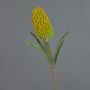 Künstliche Blume Banksia robur EREDIN, gelb-grün, 70cm, Ø7cm