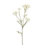 Kunst Dill Zweig NUTMEG mit Blüten, weiß, 85cm