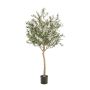 Kunstolivenbaum DRAX, Kunststamm, Früchte, grün, 180cm