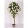 Unechter Blauregen ERLINA, Echtstamm, mit Blüten, weiß, 175cm - Made in Italy