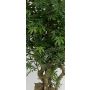 Kunstbaum Japanischer Ahorn ATEMIS, Naturstamm, grün-rot, 200cm - Made in Italy