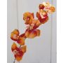 Kunst Phalaenopsis Orchidee ZAFIRA, Steckstab, orange-gelb, 75cm