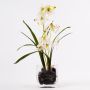 Dendrobium Orchidee künstlich ZUZA in Dekoglas, weiß-grün, 35cm