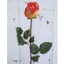 Künstliche Rose OPHELIE, orange-gelb, 85cm, Ø7cm