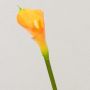 Künstliche Zantedeschie EVELINE, orange, 70cm, 5x8cm