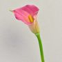 Künstliche Zantedeschie TALEA, pink, 65cm, 9x11cm