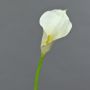 Kunstblume Calla TERESA, creme, 70cm, 10x15cm