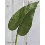 Kunstblumenblatt Calla FRANSCHESKA, grün, 70cm