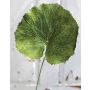 Geranien Kunstblumenblatt HEIDEGARD, grün, 38cm, Ø13cm