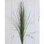 Künstliches Chinaschilf Zweig AYUMI, dunkelgrün, 160cm