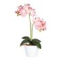 Dekoblume Phalaenopsis Orchidee FRUXO, Steckstab, Wurzeln, rosa, 50cm