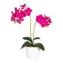Dekoblume Phalaenopsis Orchidee FRUXO, Steckstab, Wurzeln, pink, 50cm