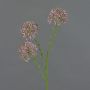 Dekozweig Allium ALIKIO, lila, 65cm, Ø7cm