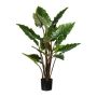 Künstliche Pflanze Colocasia SARMYN, grün, 140cm
