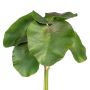 Dekoblatt Seerose LIRVA, 5 Stück, grün, 27cm